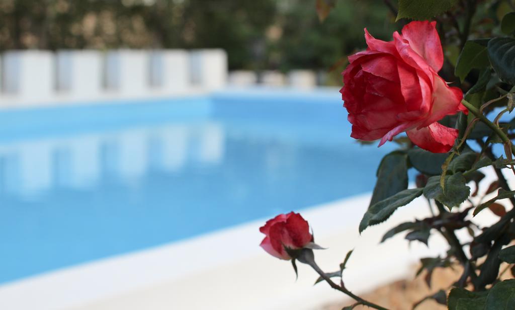 Hotel Angy غولدن ساندز المظهر الخارجي الصورة